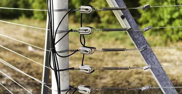 Electric Fencing Solutions in UAE