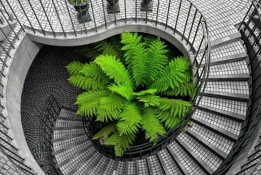 Spiral Staircase in Dubai